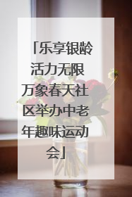 乐享银龄 活力无限万象春天社区举办中老年趣味运动会