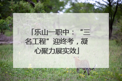乐山一职中：“三名工程”迎终考，凝心聚力展实效