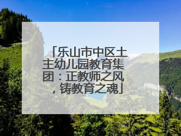 乐山市中区土主幼儿园教育集团：正教师之风，铸教育之魂