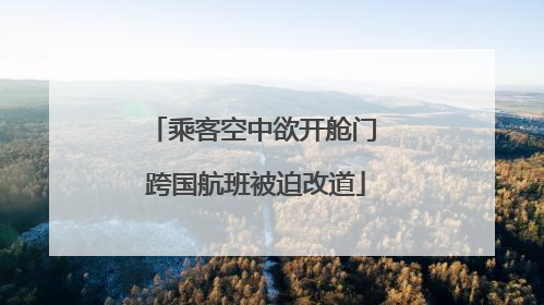 乘客空中欲开舱门 跨国航班被迫改道