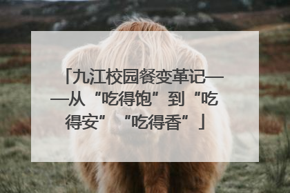 九江校园餐变革记——从“吃得饱”到“吃得安”“吃得香”