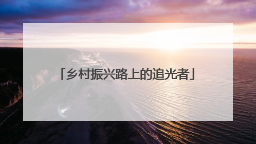 乡村振兴路上的追光者
