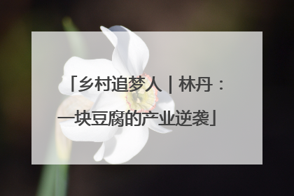 乡村追梦人｜林丹：一块豆腐的产业逆袭