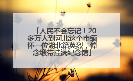 人民不会忘记！20多万人到河北这个市缅怀一位湖北籍英烈，悼念缎带挂满纪念馆