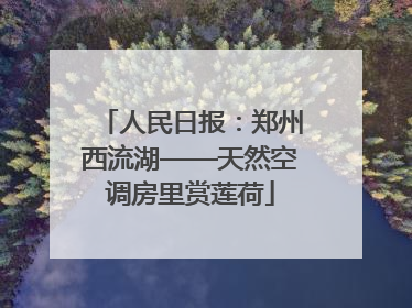 人民日报：郑州西流湖——天然空调房里赏莲荷
