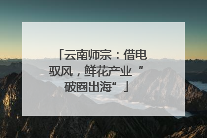 云南师宗：借电驭风，鲜花产业“破圈出海”