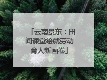 云南景东：田间课堂绘就劳动育人新画卷