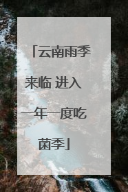 云南雨季来临 进入一年一度吃菌季