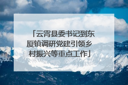 云霄县委书记到东厦镇调研党建引领乡村振兴等重点工作