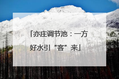 亦庄调节池：一方好水引“客”来