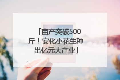亩产突破500斤！安化小花生种出亿元大产业