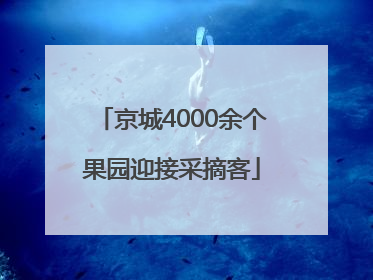 京城4000余个果园迎接采摘客