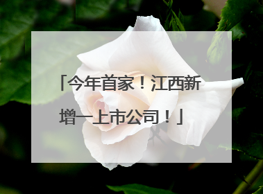 今年首家！江西新增一上市公司！