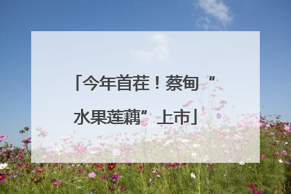 今年首茬！蔡甸“水果莲藕”上市