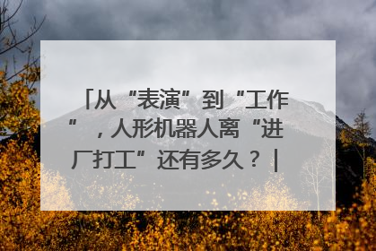 从“表演”到“工作”，人形机器人离“进厂打工”还有多久？｜机器人商业新纪元
