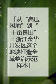 从“高压困地”到“千亩良田”：浙江金华开发区这个地块打造全域整治示范样本