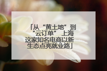 从“黄土地”到“云订单” 上海这家知名电商以新生态点亮就业路