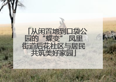 从闲置地到口袋公园的“蝶变” 凤里街道后花社区与居民共筑美好家园
