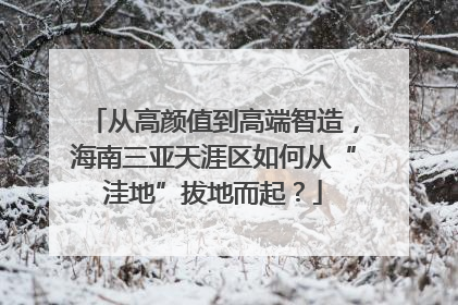 从高颜值到高端智造，海南三亚天涯区如何从“洼地”拔地而起？