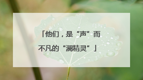 他们，是“声”而不凡的“澜精灵”