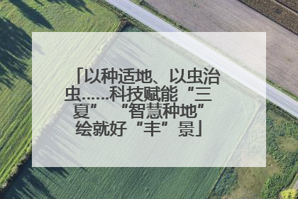 以种适地、以虫治虫……科技赋能“三夏” “智慧种地”绘就好“丰”景