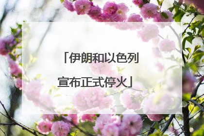 伊朗和以色列宣布正式停火