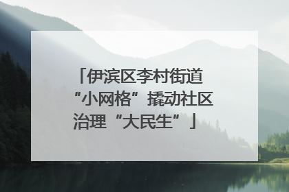 伊滨区李村街道 “小网格”撬动社区治理“大民生”