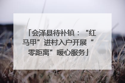 会泽县待补镇：“红马甲”进村入户开展“零距离”暖心服务