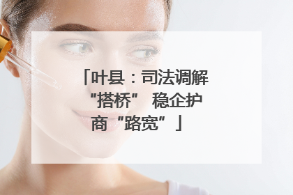 叶县：司法调解“搭桥” 稳企护商“路宽”