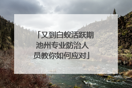 又到白蚁活跃期 池州专业防治人员教你如何应对