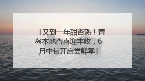 又到一年甜杏熟！青岛本地杏喜迎丰收，6月中旬开启尝鲜季