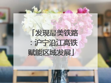 发现最美铁路：沪宁沿江高铁赋能区域发展