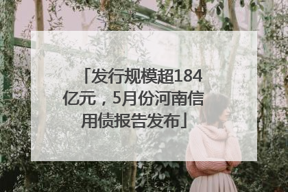 发行规模超184亿元，5月份河南信用债报告发布
