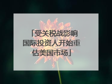 受关税战影响 国际投资人开始重估美国市场