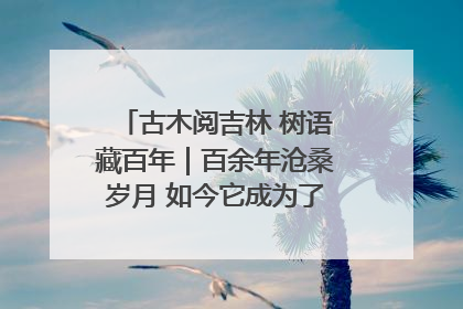 古木阅吉林 树语藏百年｜百余年沧桑岁月 如今它成为了“镇园之宝”