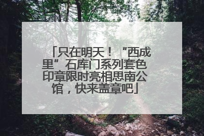 只在明天！“西成里”石库门系列套色印章限时亮相思南公馆，快来盖章吧