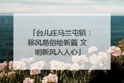 台儿庄马兰屯镇：移风易俗绘新篇 文明新风入人心