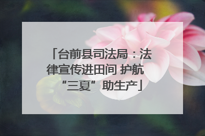台前县司法局：法律宣传进田间 护航“三夏”助生产