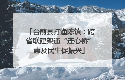 台前县打渔陈镇：跨省联建架通“连心桥” 惠及民生促振兴