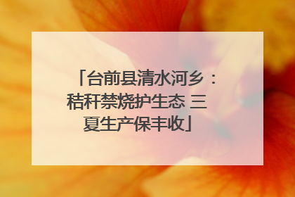台前县清水河乡：秸秆禁烧护生态 三夏生产保丰收