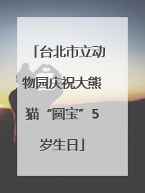 台北市立动物园庆祝大熊猫“圆宝”5岁生日