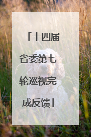 十四届省委第七轮巡视完成反馈