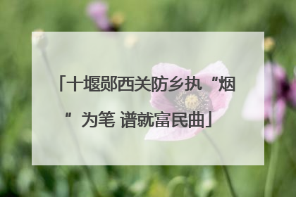 十堰郧西关防乡执“烟”为笔 谱就富民曲