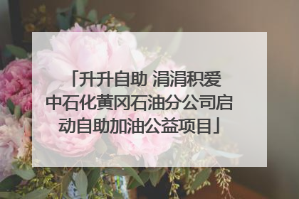 升升自助 涓涓积爱 中石化黄冈石油分公司启动自助加油公益项目