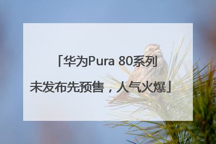 华为Pura 80系列未发布先预售，人气火爆
