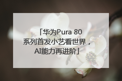 华为Pura 80系列首发小艺看世界，AI能力再进阶
