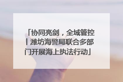 协同亮剑，全域管控丨潍坊海警局联合多部门开展海上执法行动