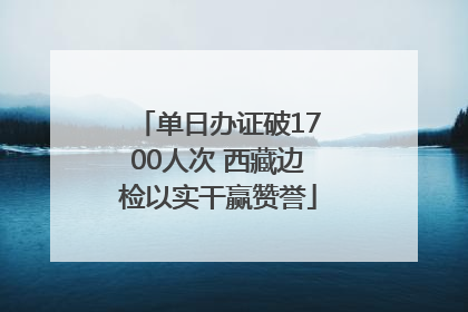 单日办证破1700人次 西藏边检以实干赢赞誉