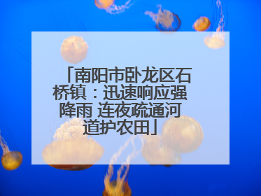 南阳市卧龙区石桥镇：迅速响应强降雨 连夜疏通河道护农田
