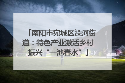 南阳市宛城区溧河街道：特色产业激活乡村振兴“一池春水”